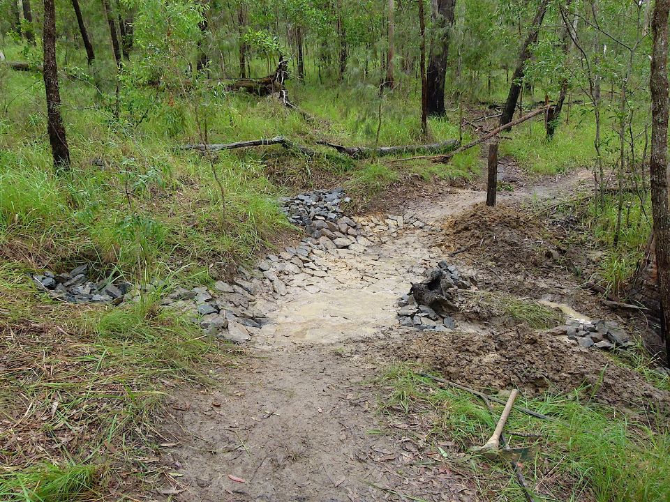 P1160290 copy.jpg